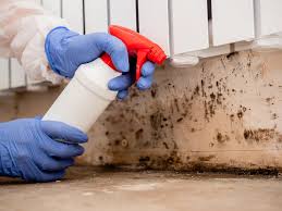 Best Commercial Mold Inspection  in Martins Additions, MD